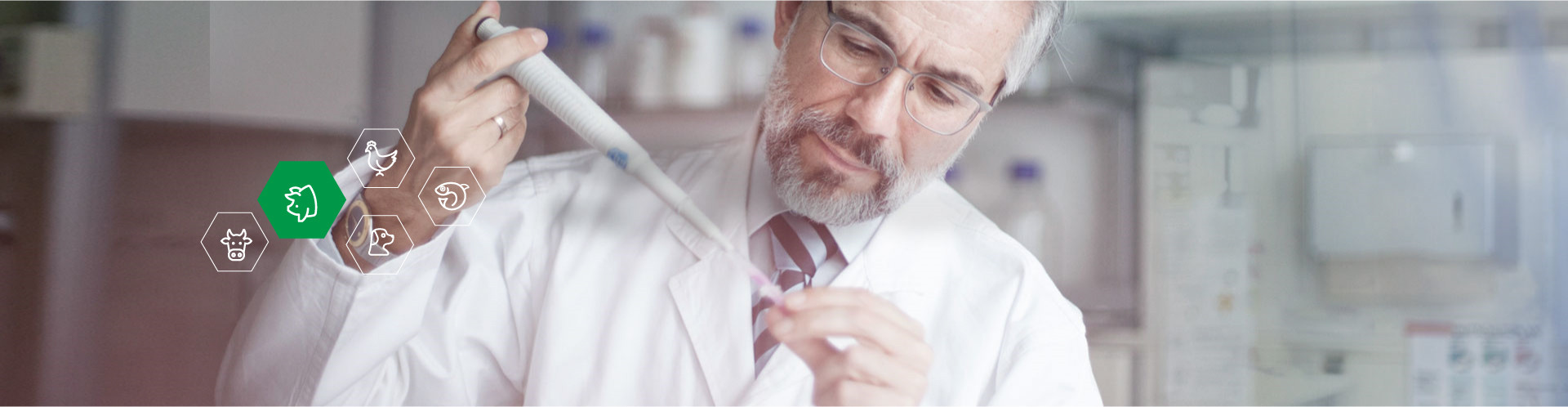 寧波友博電子有限公司